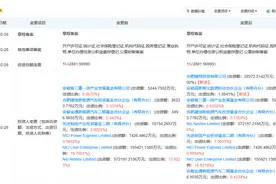 合肥国资出手，蔚来又获28亿元增资图片
