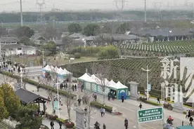 上海人注意！本周末已迎首个小高峰！F1停车场都用上了图片