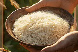 AI绘图｜今天，世界粮食日！一粥一饭，当思来之不易图片