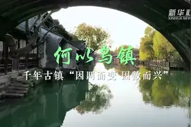 乌镇“网事”丨记者观察：何以乌镇——千年古镇“因网而变、因数而兴”图片