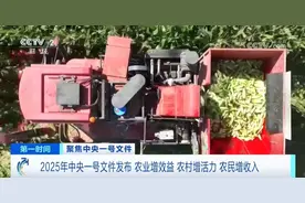2025年中央一号文件中有哪些农村改革亮点？专家解读→图片