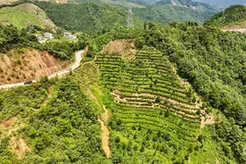 【籽籽同心 八桂同舟】岭南文化绵延厚重 广西梧州守护好民族根脉图片