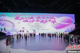 爱在尔滨·浪漫冰城磕CP恋爱嘉年华在哈尔滨市启动图片