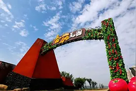 潍坊的唐家店子村，如何成了“番茄王国”图片