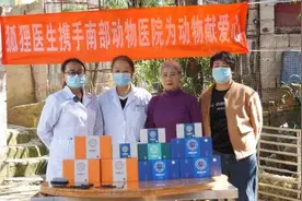 狐狸医生捐赠活动：救助流浪猫狗，我们在行动图片