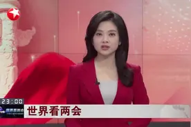世界看两会 伊夫·莱特姆：比利时能在中国与西方之间发挥桥梁作用视频封面