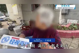 邻居家不住人只养猫，常年飘散恶臭味！武汉多名业主不堪其扰图片