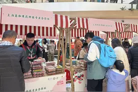 2024金山“莓烦恼”草莓生活节在长宁开幕图片