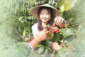 民族团结的佳话代代相传（讲述·回信背后的故事）图片