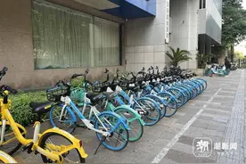 共享单车这十年①：从“五颜六色”到“三足鼎立”，我们为什么还在骑共享单车图片