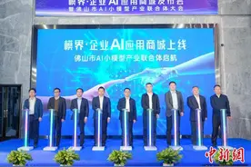 广东佛山成立AI小模型产业联合体图片