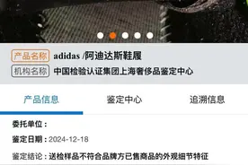 网购的阿迪达斯德训鞋两次鉴定都是假货 赔偿和检测费却没人承担图片