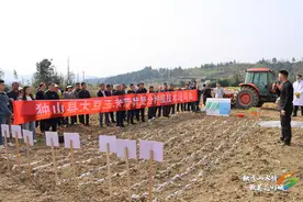 【乡村行 看振兴】解锁高产密码！独山县开展大豆玉米带状复合种植技术现场培训图片