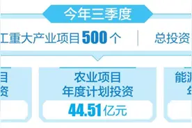 新提速 向稳前行——省委省政府三季度重大产业项目调度推进会侧记图片