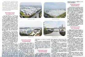 鄄城：奋力谱写经济社会高质量发展新篇章图片