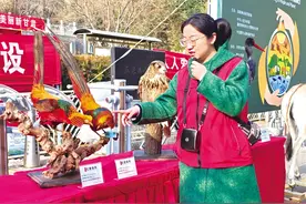 “世界野生动植物日”宣传活动昨日举行图片
