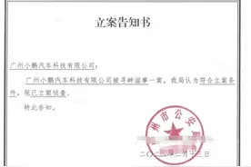 小鹏汽车发布公告：造谣主要嫌疑人已到案图片