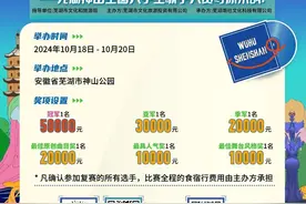 芜湖神山全国大学生歌手大赛招募啦！图片