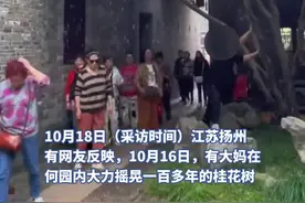 大妈在“晚清第一园”何园内猛摇金桂造“桂花雨”，景区回应图片