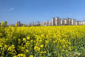 合肥再添一处都市农业主题公园图片