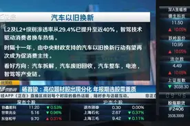 杨首骏：高位题材股出现分化 年报期选股需重质视频封面