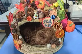 今夏救助了一窝松鼠幼崽 杭州这所小学为它们打造了好多新家图片