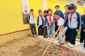 第44个世界粮食日|西安多所小学开展劳动教育 听听专家怎么说？图片