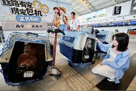 又一航司推出宠物包机航班，“铲屎官”们距离携宠出行自由还有多……图片
