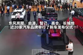 助推“汽车之城”千亿支柱产业提速发展，武汉国际车展盛大开幕图片