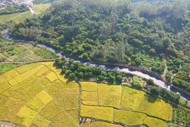 清远湴江村：奋楫“百千万工程”，跑出典型村培育“加速度”图片