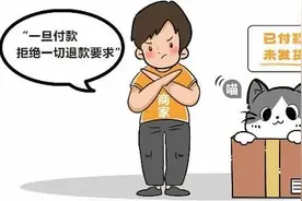 网购宠物猫，商家声称“不支持7天无理由退货”该怎么办？图片