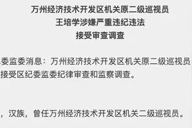 涉嫌严重违纪违法！重庆万州经济技术开发区机关原二级巡视员王培学接受审查调查图片