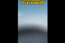 8个月完成工程总量近90% 枣庄翼云机场最新进展图片