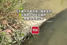 “鱼翔浅底”是啥？南宁这座宝藏公园说……图片