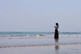 日照爱你有多深，请去问问海滨森林图片