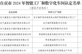 自贡2024年智能工厂和数字化车间认定名单出炉 这些企业入选→图片
