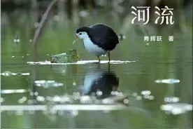 声音的唤醒——读肖辉跃散文集《醒来的河流》图片