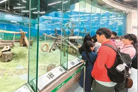 行摄宝岛图片