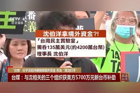 “台独”分子沈伯洋被揭收境外资金，充当“政治打手”图片