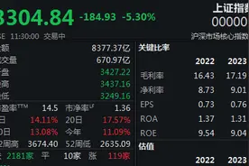 两市震荡回落，沪指半日收跌5.3%图片