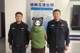 赤峰公安破获多起案件，9人被抓！图片