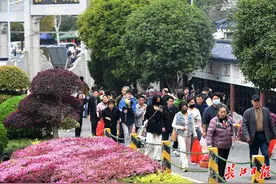 清明祭扫，武汉陵园暖心服务获好评图片
