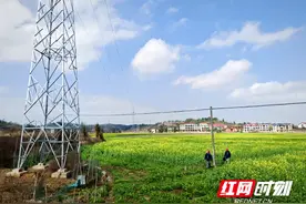 国网邵阳供电公司：春风护电脉 安全到田间图片