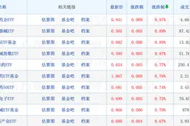九泰基金定增“老鼠仓”事件再追责；多只ETF基金规模告急；陈鹏扬、史博有调研新动向图片