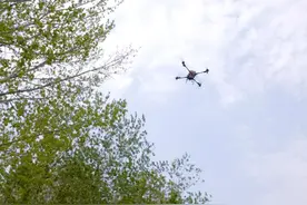 无人机出动！滨州实施建成区杨柳絮无人机飞防作业图片