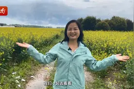 走读湘村“强富美”⑨｜油菜6000亩，年挣400万图片