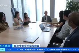 分享高水平开放红利！南非跨国企业：中国市场充满发展新机遇图片
