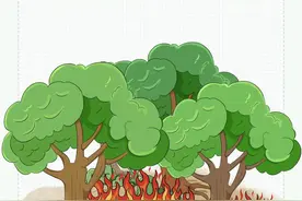 威头条丨30秒搞懂什么是森林火灾？图片