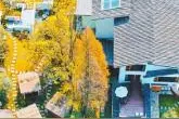 相约“东坡文化月” 眉山文旅谋“出圈”图片