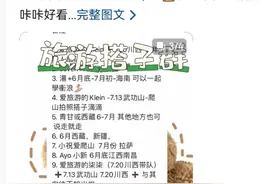 “旅游搭子”横行，警惕背后陷阱图片